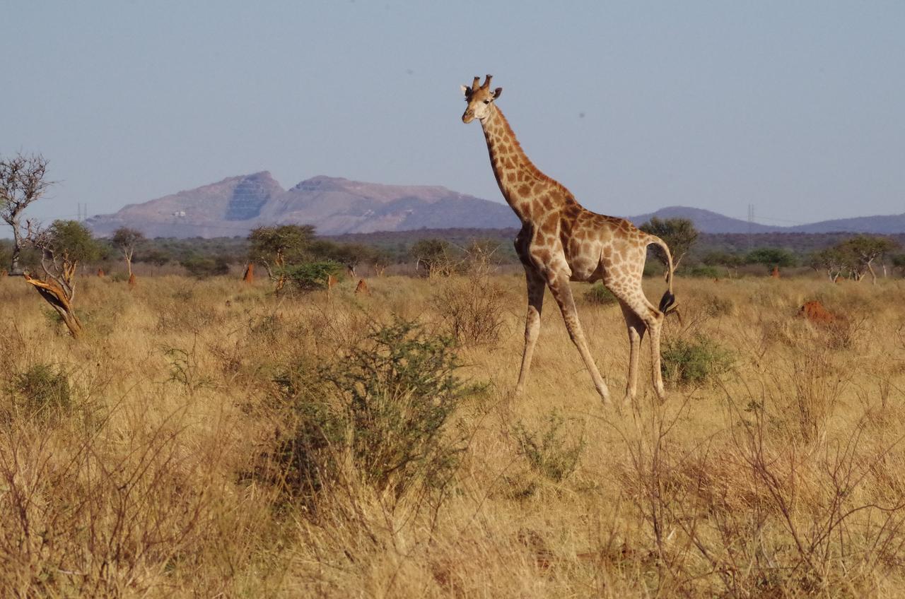 Frans Indongo Lodge Otjiwarongo Eksteriør bilde
